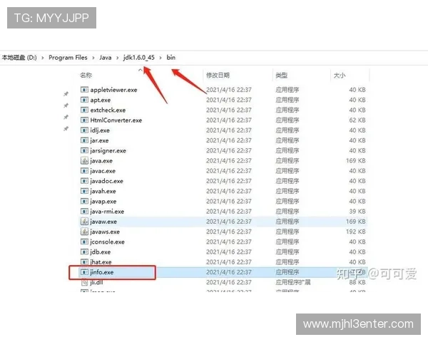 电子pg登录入口无法登录怎么办详细排查步骤与多种解决方法推荐